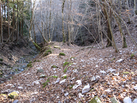 20161206hike (362)